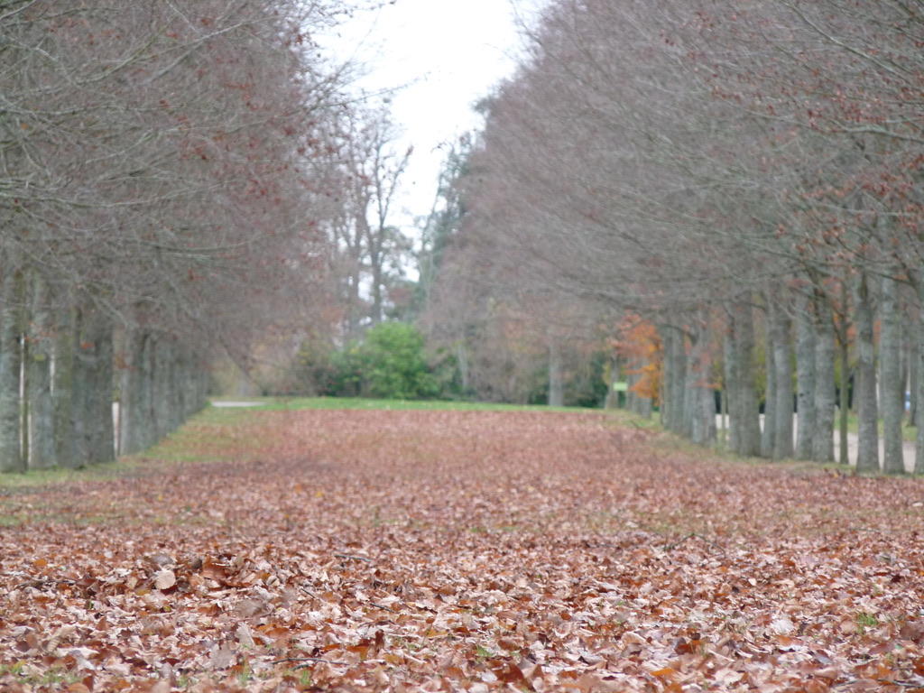 Parc de Versailles