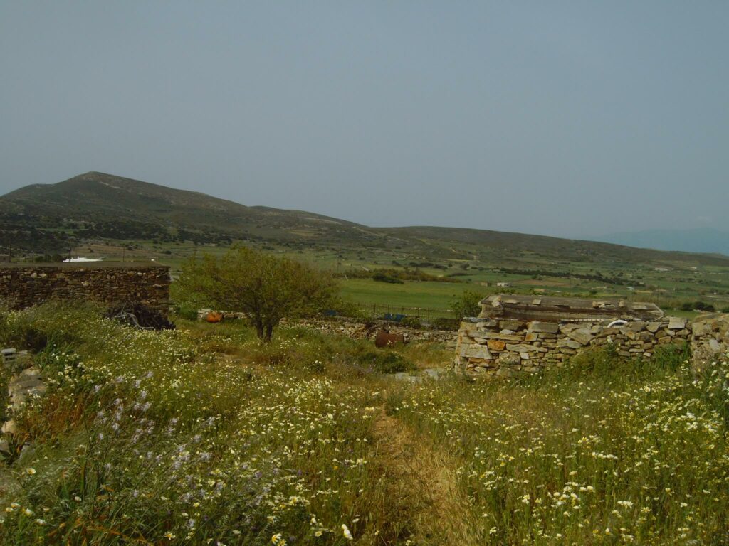 Arrière Pays Naxos