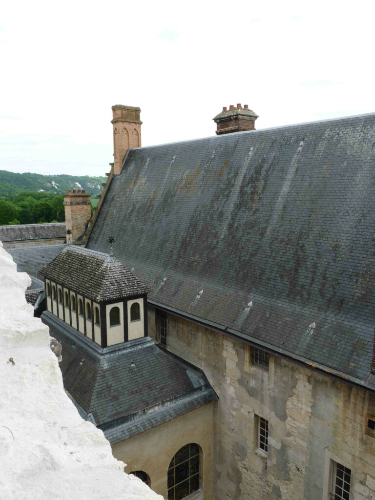 Chateau de la Roche Guyon