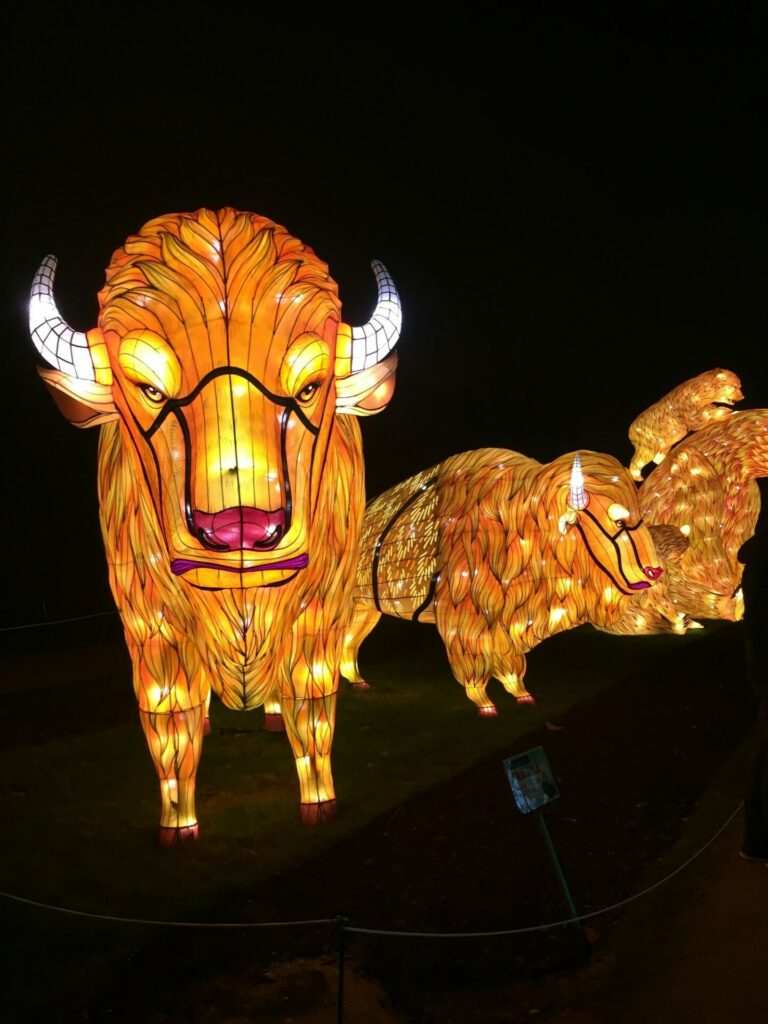 Jardin des plantes espèces en voie d'illumination