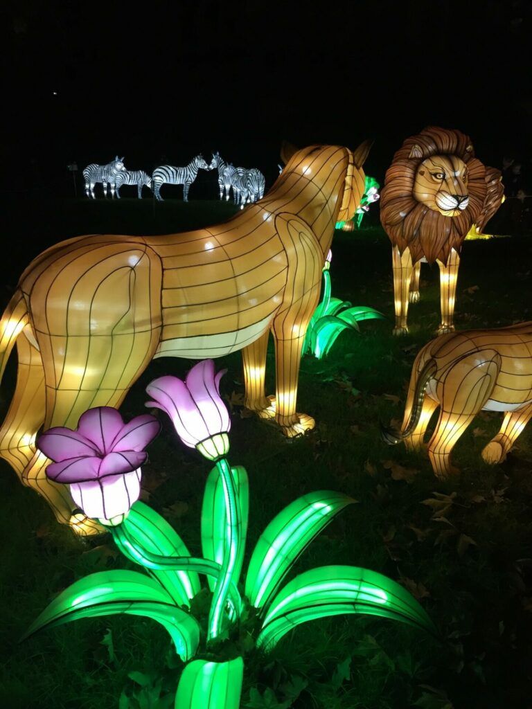 Illuminations jardin des plantes