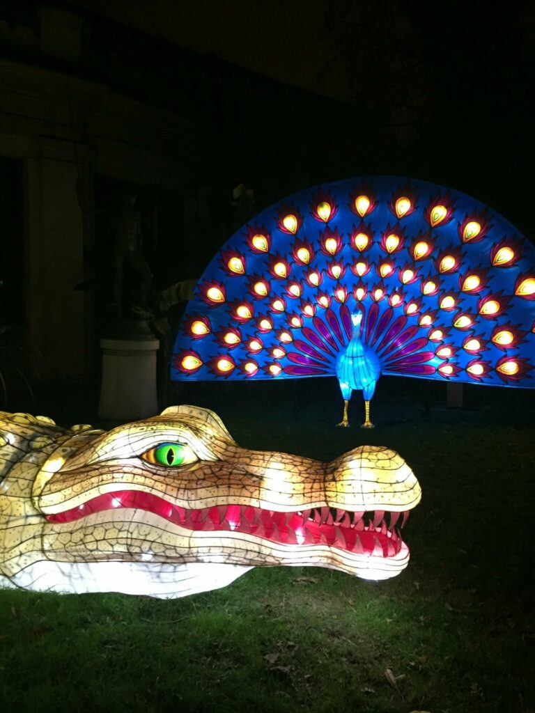 Exposition jardin des plantes