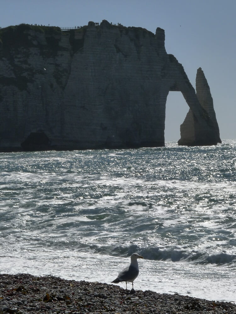 Falaises d'Etretat