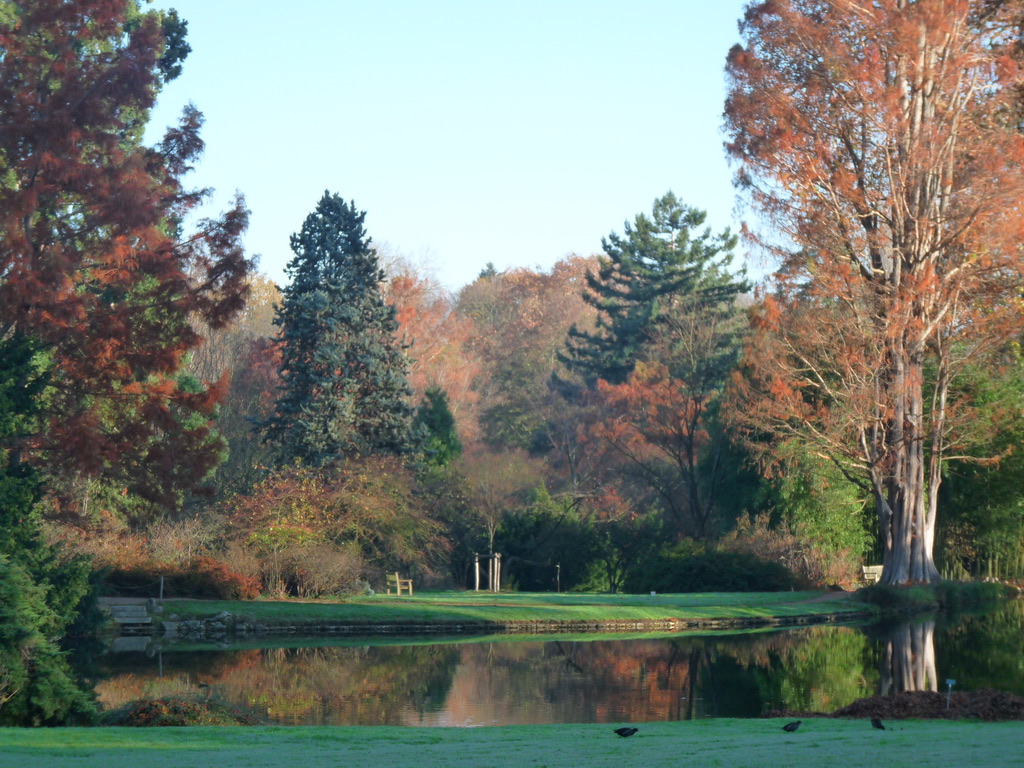 Arboretum de la vallée aux loups