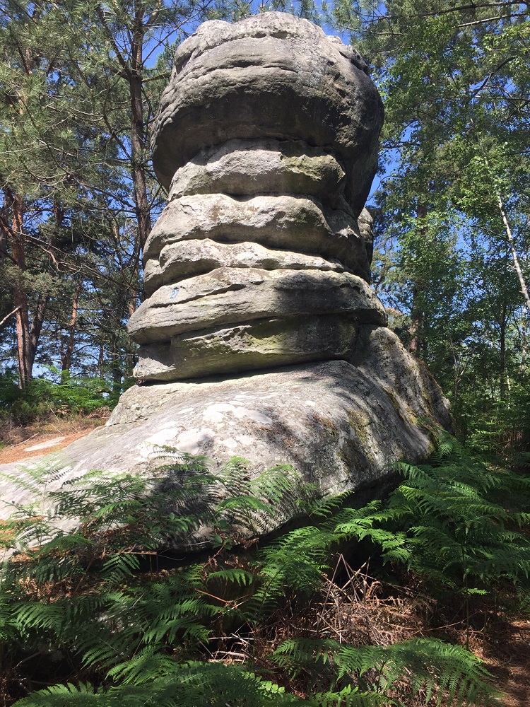 Foret de Fontainebleau