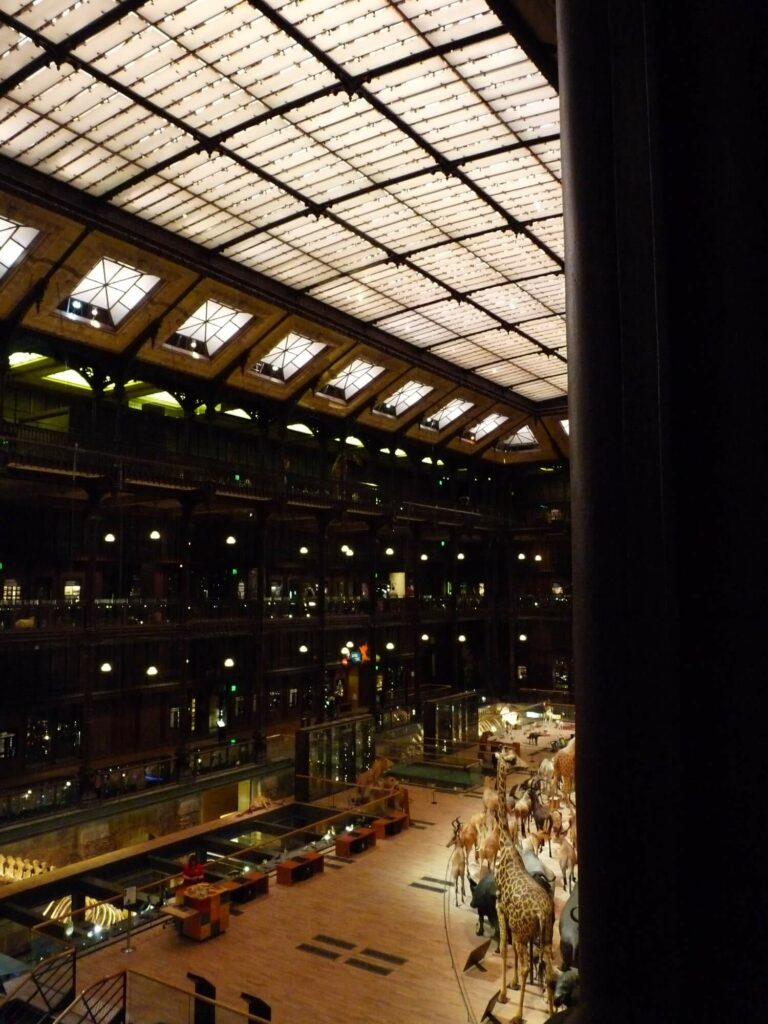 Galerie de l'évolution Paris