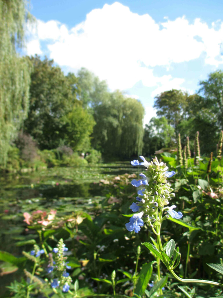 Jardins de Giverny