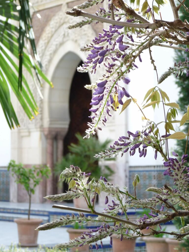 Grande mosquée de Paris