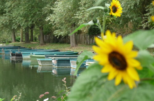 Hortillonnages Amiens