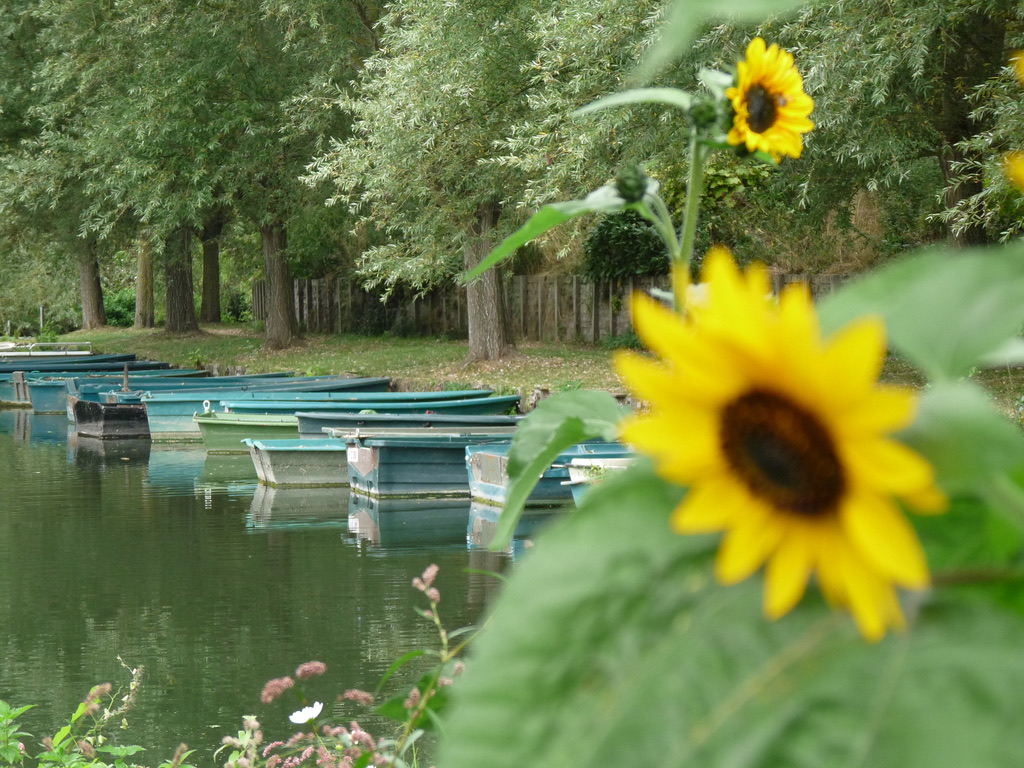 Hortillonnages Amiens