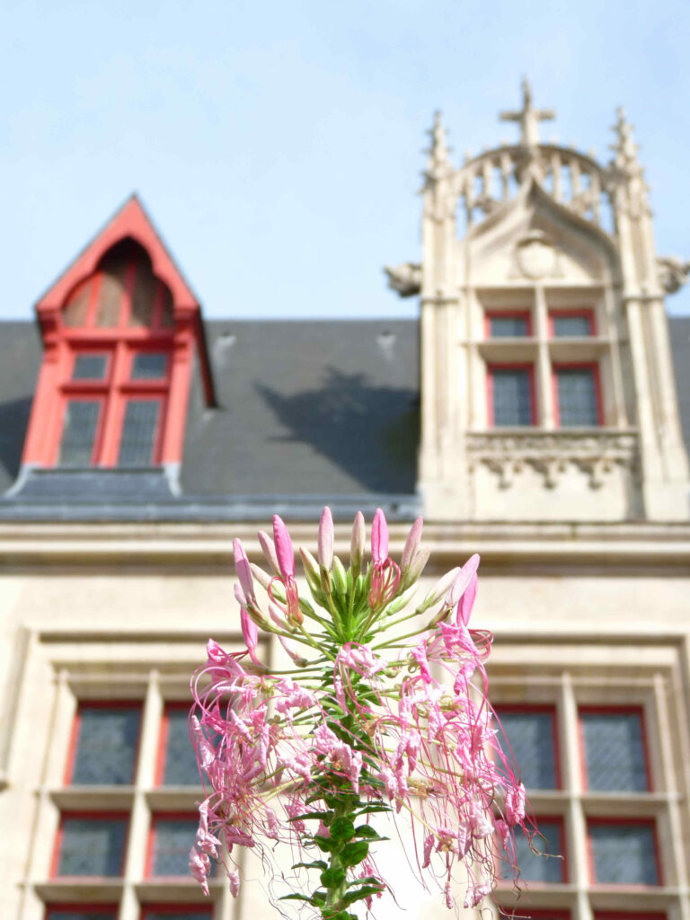 Hotel de Sens à Paris