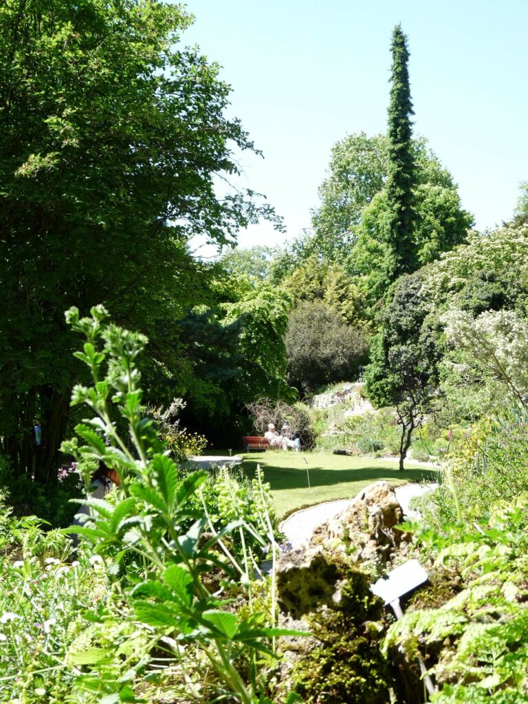 Jardin alpin Paris