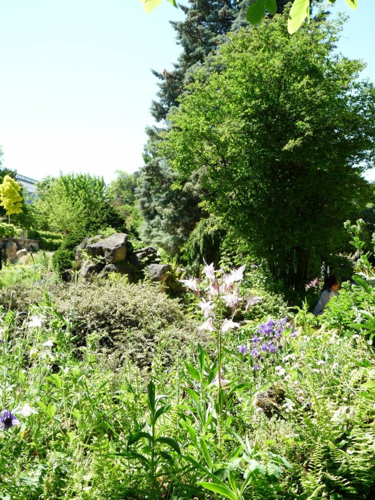 Jardin des plantes