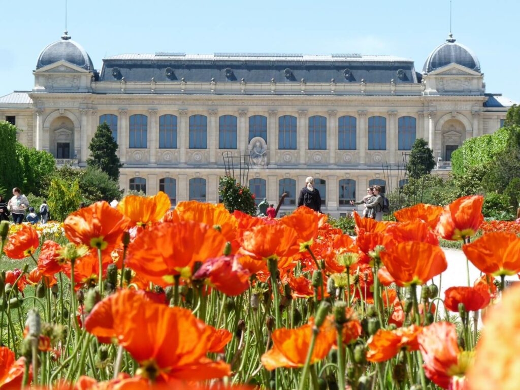 Jardin des plantes