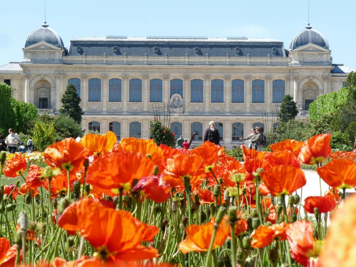 Jardin des plantes Paris