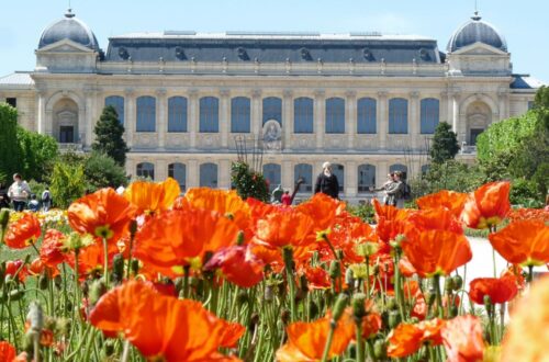 Jardin des plantes Paris