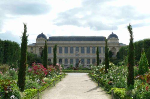 Jardin des plantes Paris