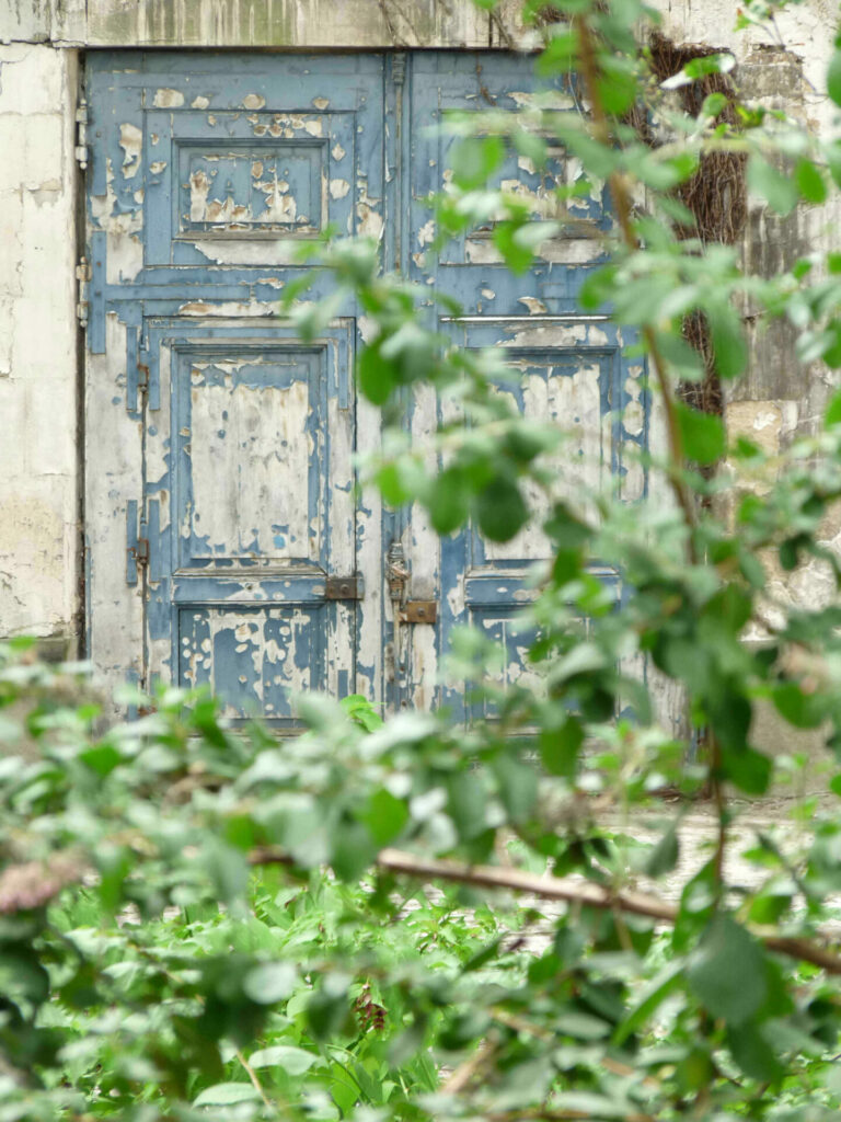 Jardin des plantes Paris