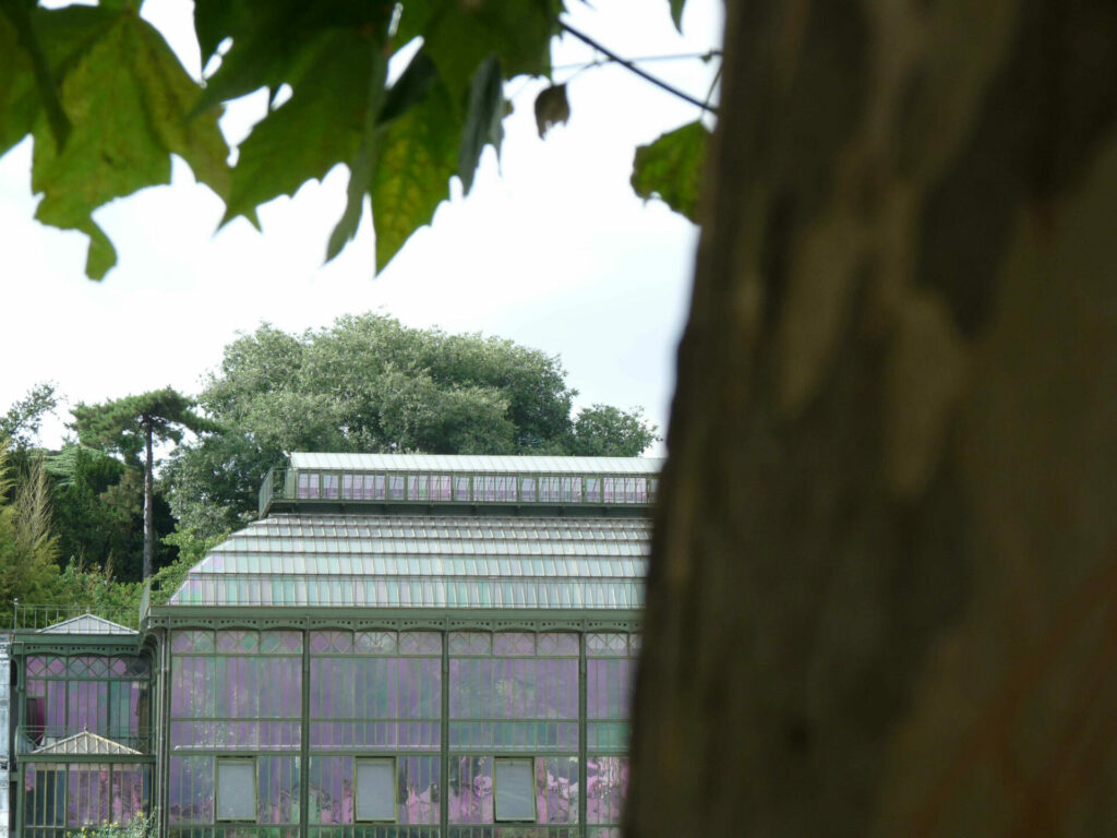 Jardin des plantes Paris