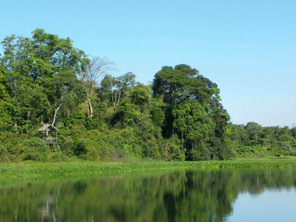 Parc national dAnkarafantsika