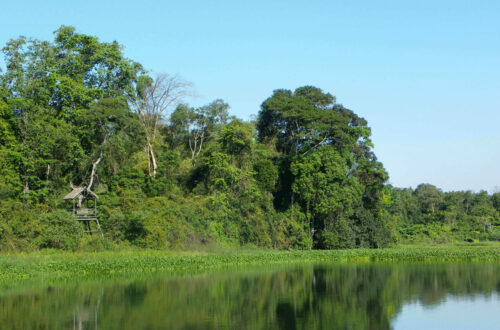 Parc national dAnkarafantsika