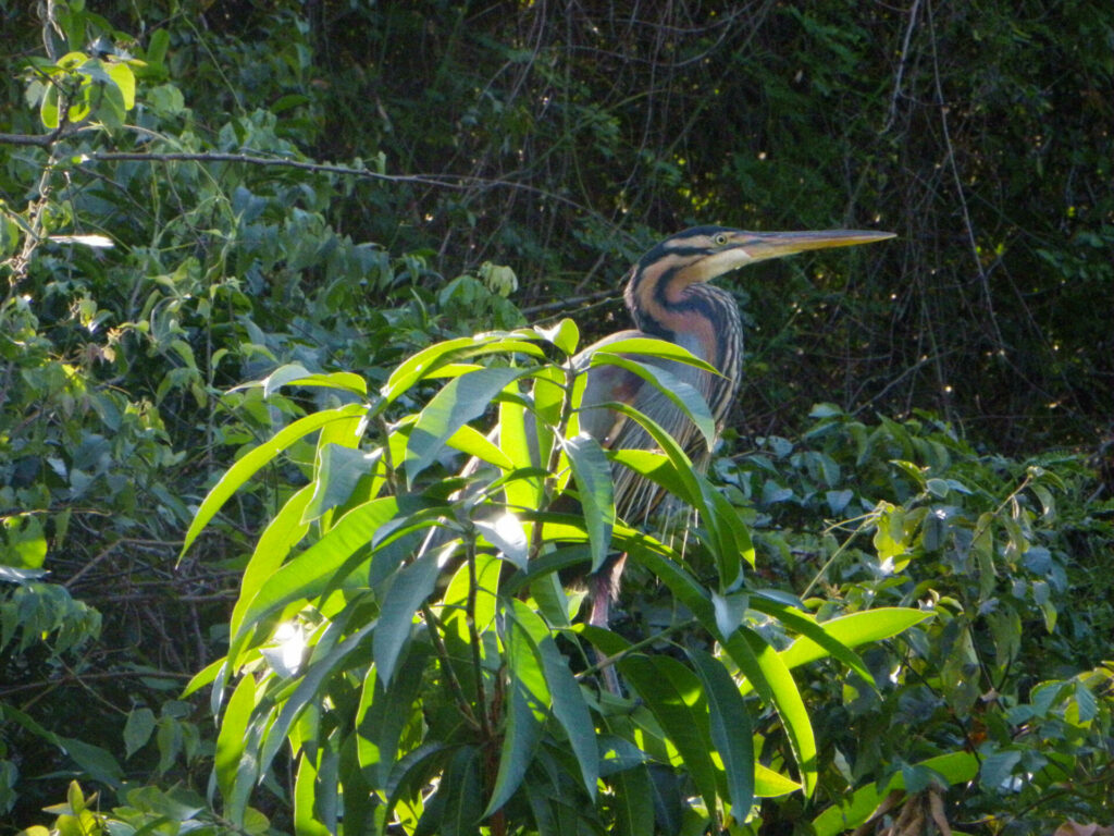 Majunga Madagascar