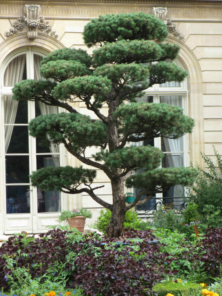 Jardins Elysée