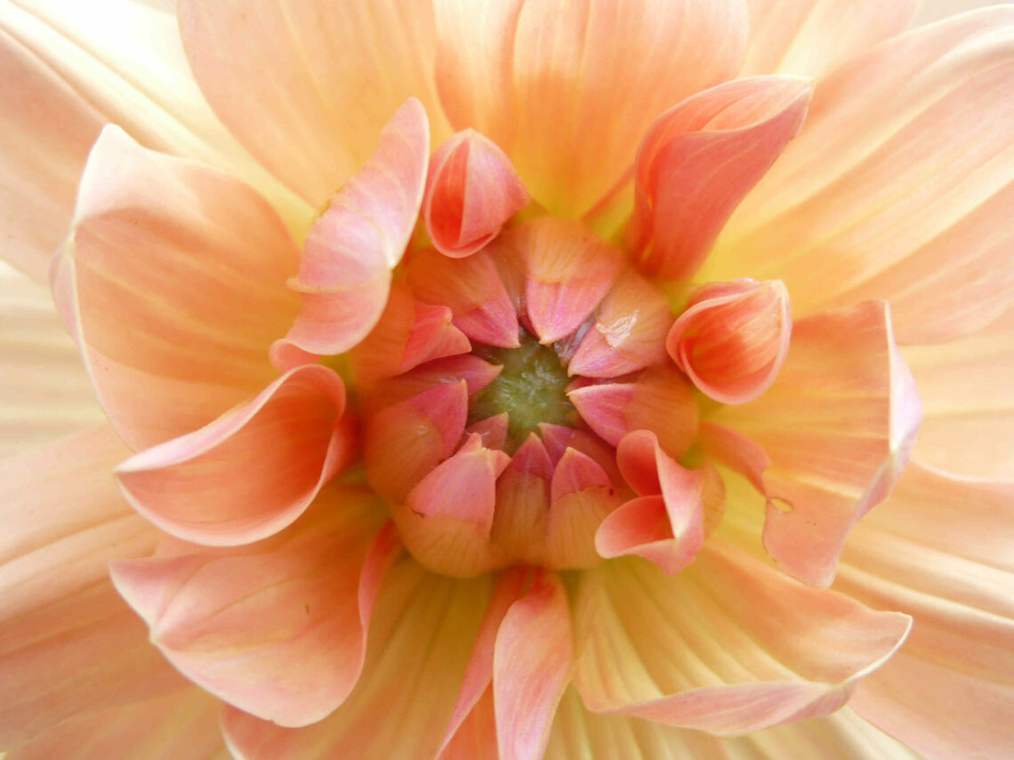 Visiter Copenhague en 5 jours Partir voir le monde