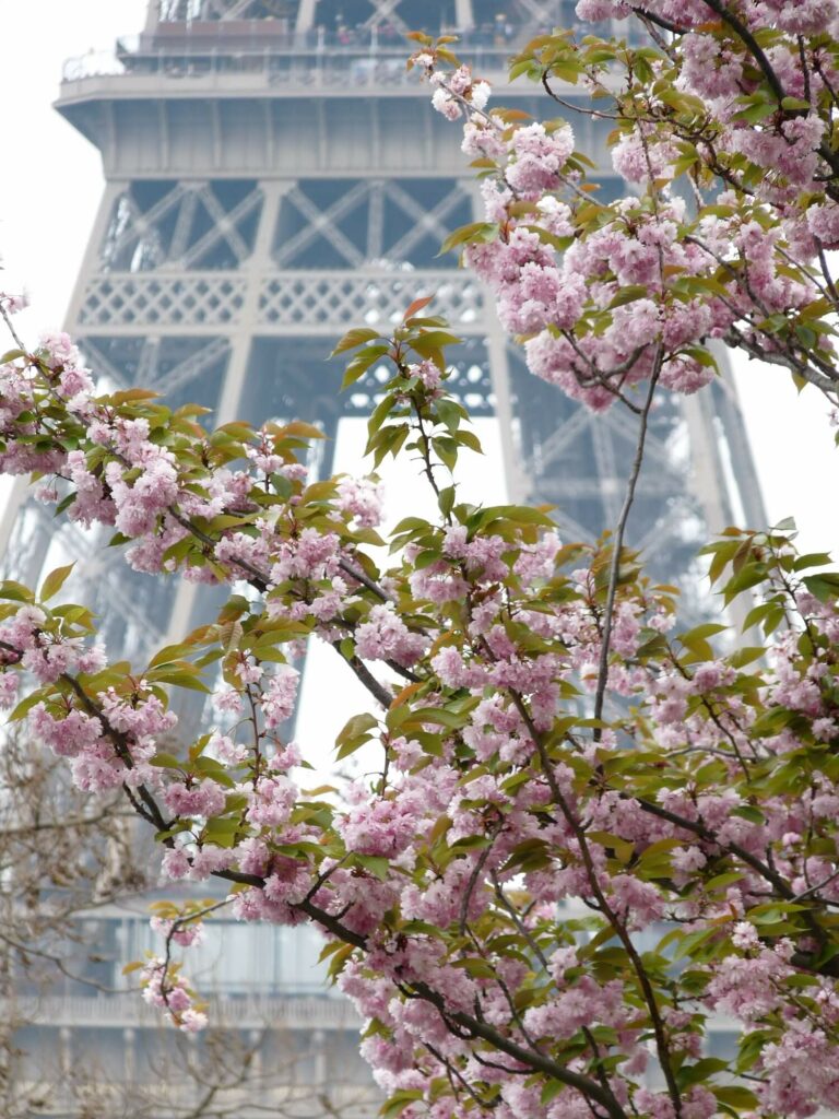 Tour Eiffel