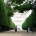 Jardin des Tuileries