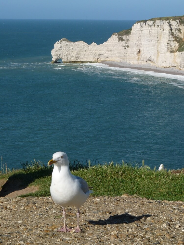 Week-end à Etretat