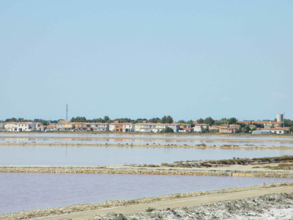 Camargue