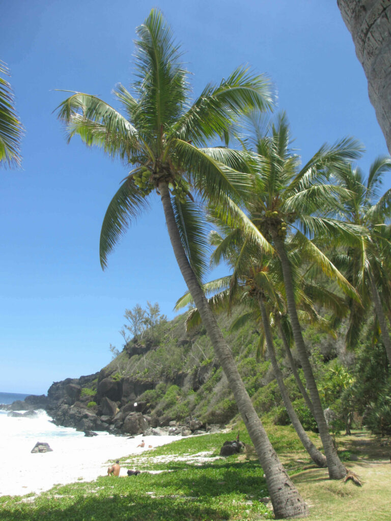 Sud Sauvage Réunion