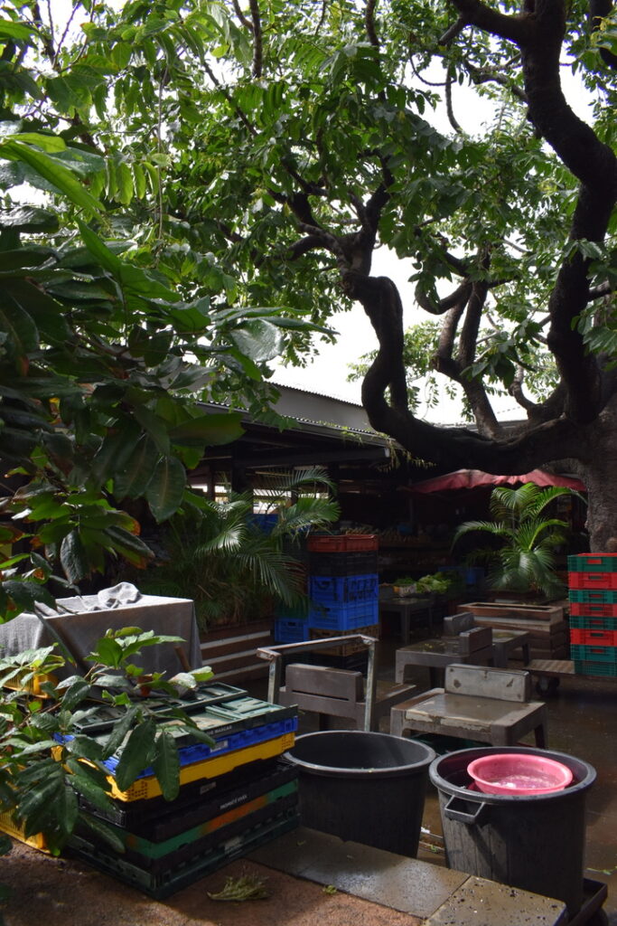 Petit Marché à Saint Denis de la Réunion
