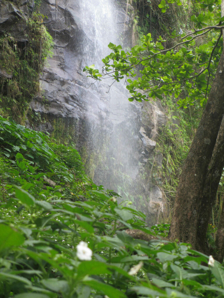 Anse des cascades