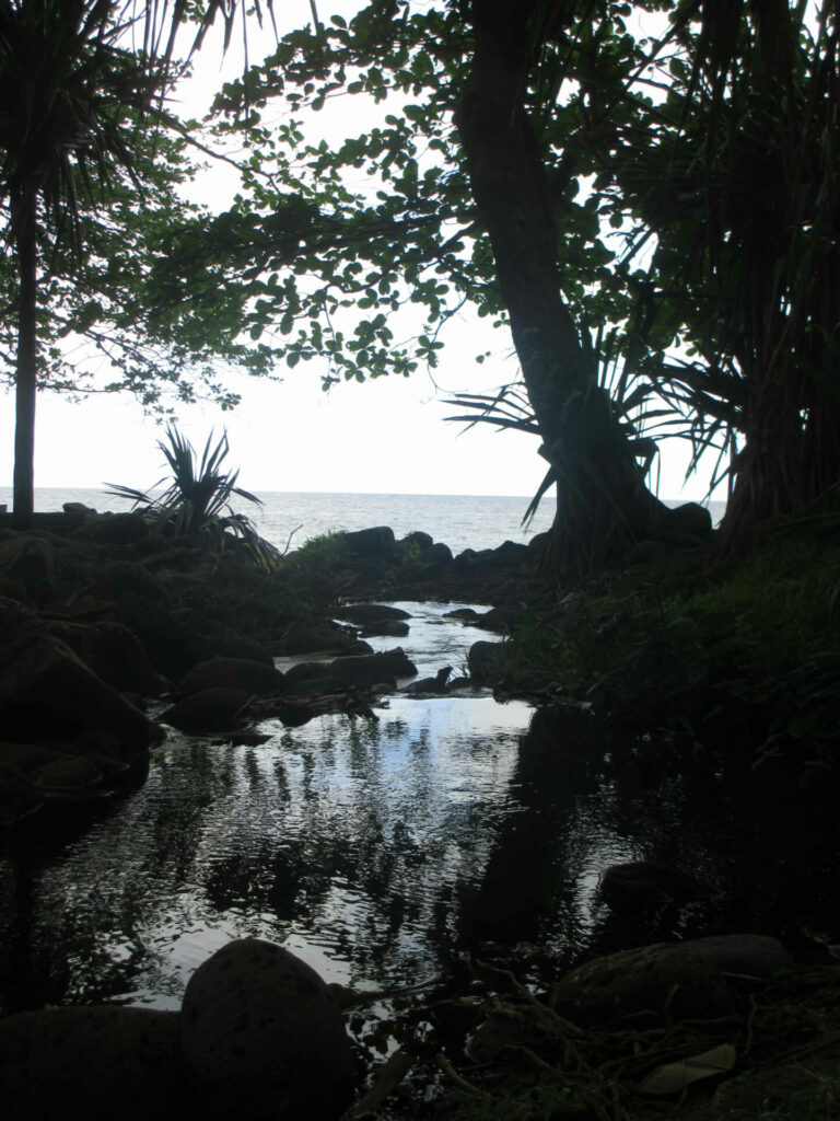 Anse des cascades