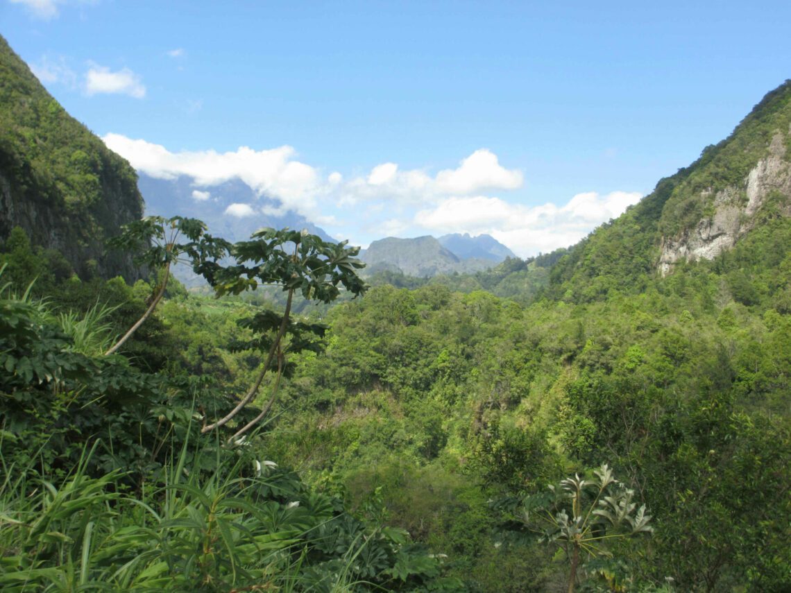 Salazie Réunion