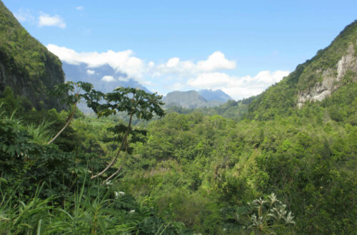 Salazie Réunion