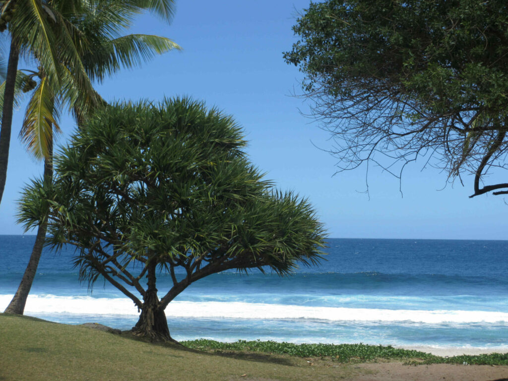 Grande Anse Réunion