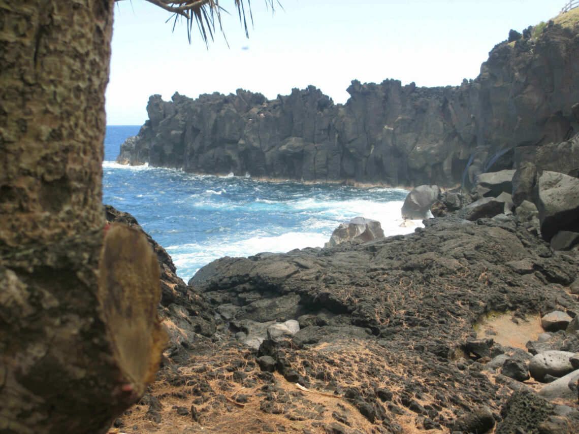 Cap méchant Saint-Philippe Réunion