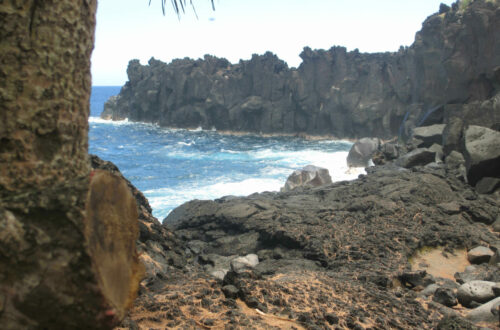 Cap méchant Saint-Philippe Réunion