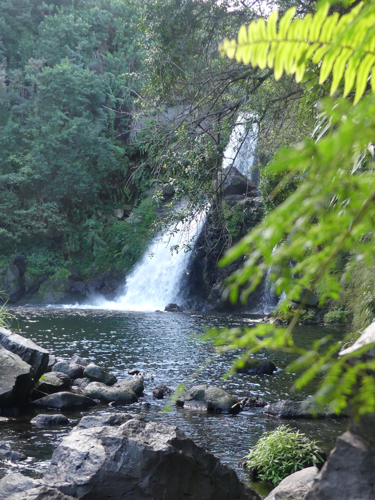 Cascade Jacqueline Réunion