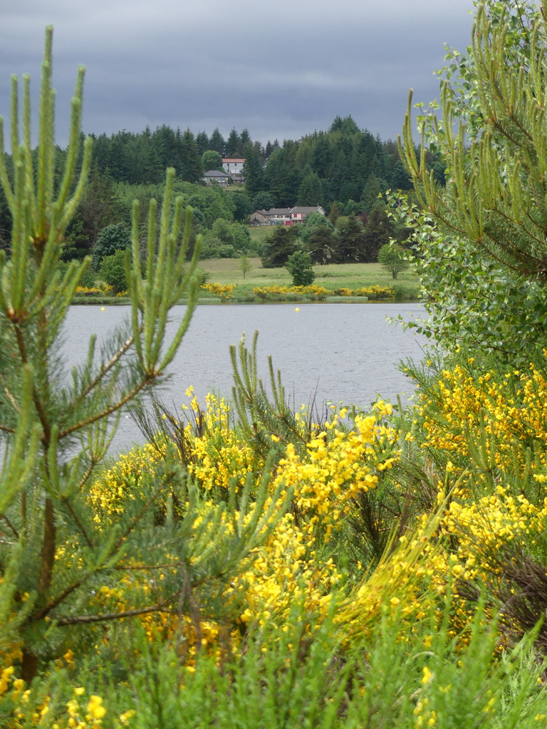 Lac de Devesset Ardèche