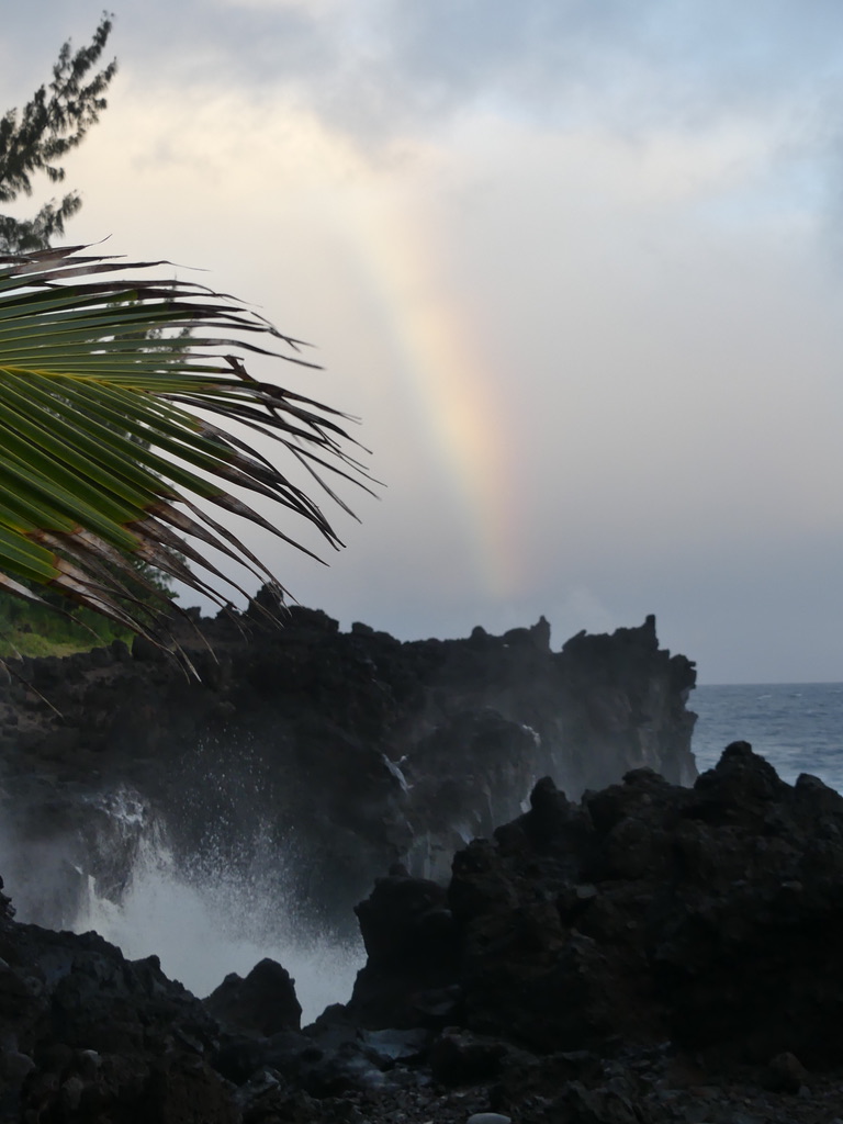 Littoral sud sauvage Réunion