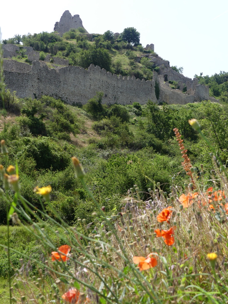 Château de Crussol