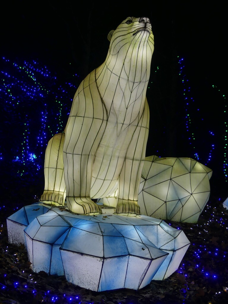 Illuminations zoo de Thoiry