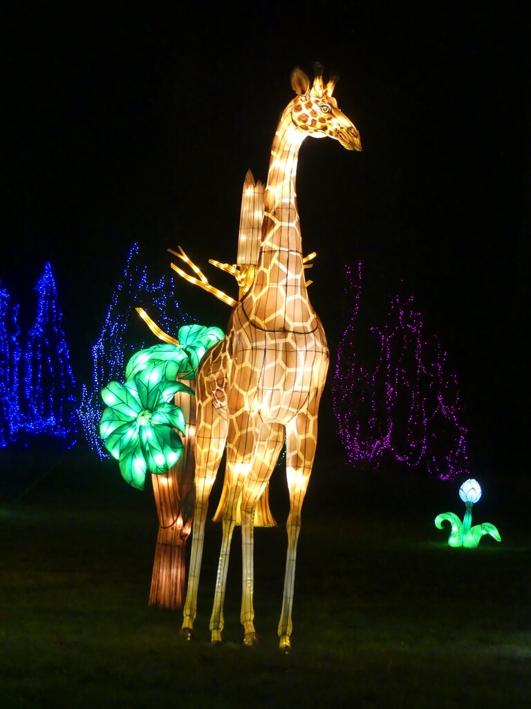 Illuminations zoo de Thoiry