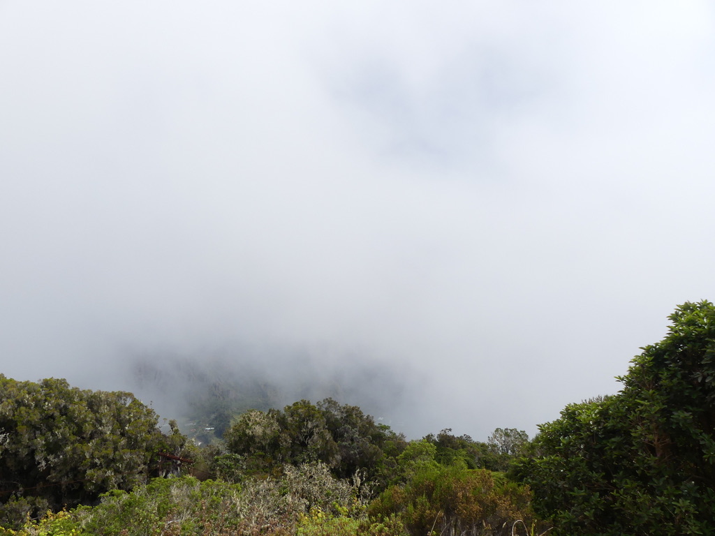 Vue bouchée gite de Bélouve