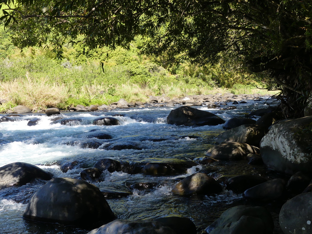 Bassins nord de la Réunion