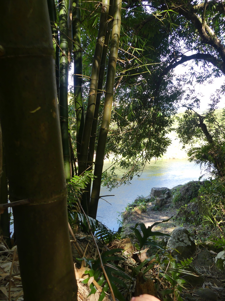 Rivière Réunion